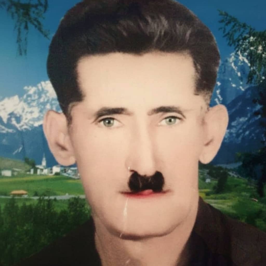 امیرحسین نامداری زاده